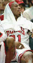 denrod.jpg (41740 byte)