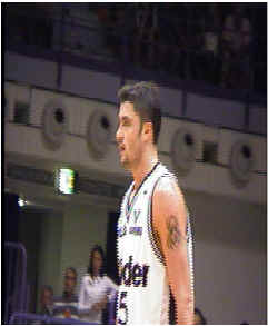 sasha10.jpg (31542 byte)